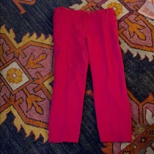 22W hot pink Talbots pants